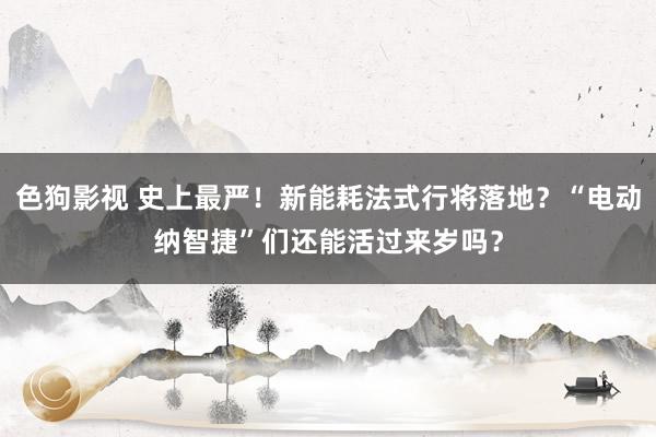   色狗影视 史上最严！新能耗法式行将落地？“电动纳智捷”们还能活过来岁吗？