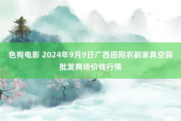   色狗电影 2024年9月9日广西田阳农副家具空洞批发商场价钱行情