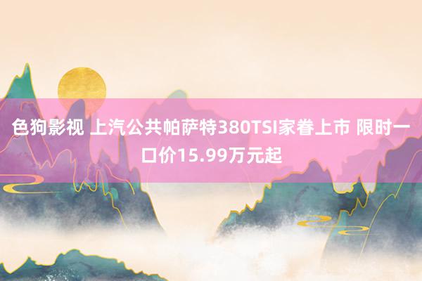 色狗影视 上汽公共帕萨特380TSI家眷上市 限时一口价15.99万元起