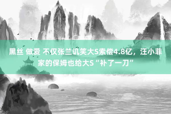 黑丝 做爱 不仅张兰讥笑大S索偿4.8亿，汪小菲家的保姆也给大S“补了一刀”