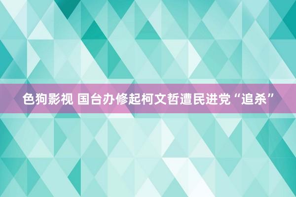   色狗影视 国台办修起柯文哲遭民进党“追杀”