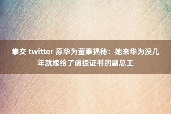 拳交 twitter 原华为董事揭秘：她来华为没几年就嫁给了函授证书的副总工