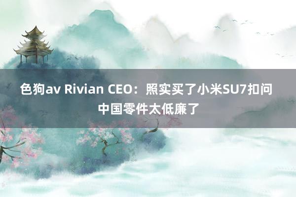 色狗av Rivian CEO：照实买了小米SU7扣问 中国零件太低廉了