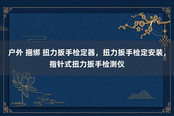 户外 捆绑 扭力扳手检定器，扭力扳手检定安装，指针式扭力扳手检测仪