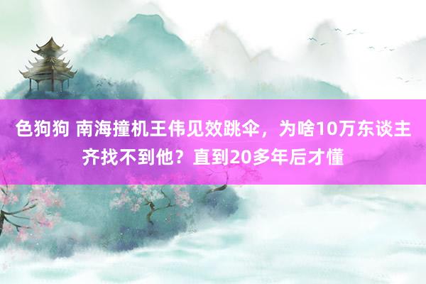 色狗狗 南海撞机王伟见效跳伞，为啥10万东谈主齐找不到他？直到20多年后才懂