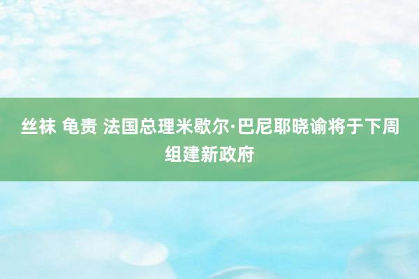   丝袜 龟责 法国总理米歇尔·巴尼耶晓谕将于下周组建新政府