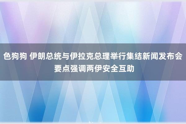   色狗狗 伊朗总统与伊拉克总理举行集结新闻发布会 要点强调两伊安全互助