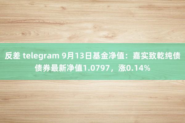 反差 telegram 9月13日基金净值：嘉实致乾纯债债券最新净值1.0797，涨0.14%