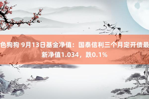   色狗狗 9月13日基金净值：国泰信利三个月定开债最新净值1.034，跌0.1%