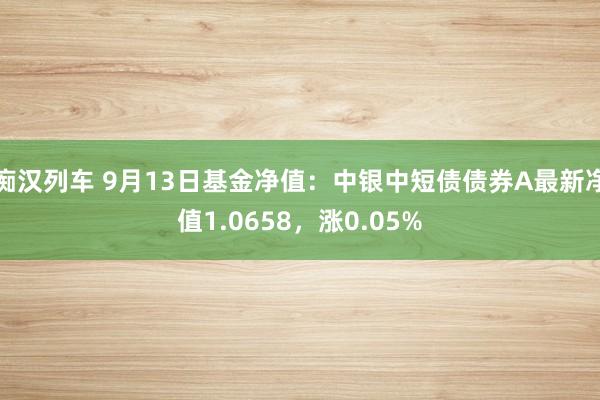   痴汉列车 9月13日基金净值：中银中短债债券A最新净值1.0658，涨0.05%