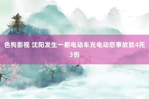 色狗影视 沈阳发生一都电动车充电动怒事故致4死3伤