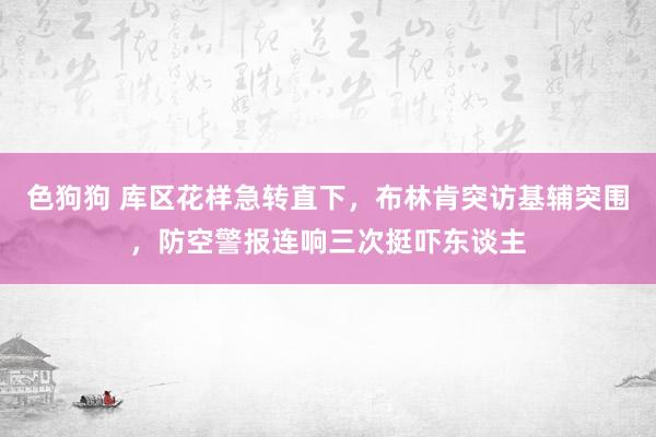 色狗狗 库区花样急转直下，布林肯突访基辅突围，防空警报连响三次挺吓东谈主