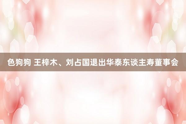 色狗狗 王梓木、刘占国退出华泰东谈主寿董事会