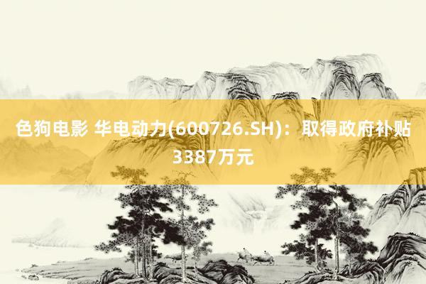   色狗电影 华电动力(600726.SH)：取得政府补贴3387万元