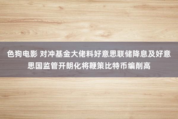 色狗电影 对冲基金大佬料好意思联储降息及好意思国监管开朗化将