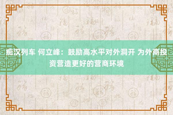 痴汉列车 何立峰：鼓励高水平对外洞开 为外商投资营造更好的营