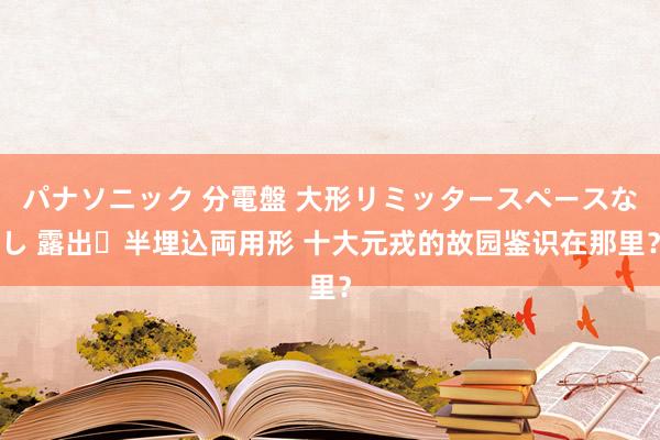   パナソニック 分電盤 大形リミッタースペースなし 露出・半埋込両用形 十大元戎的故园鉴识在那里？