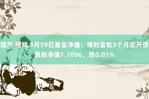   国产 视频 9月19日基金净值：博时富乾3个月定开债最新净值1.1096，跌0.01%