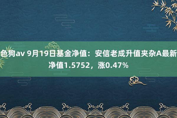   色狗av 9月19日基金净值：安信老成升值夹杂A最新净值1.5752，涨0.47%