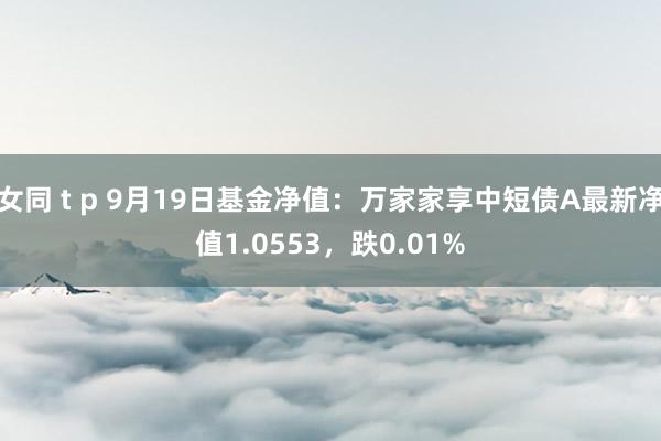   女同 t p 9月19日基金净值：万家家享中短债A最新净值1.0553，跌0.01%