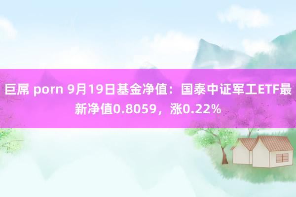   巨屌 porn 9月19日基金净值：国泰中证军工ETF最新净值0.8059，涨0.22%