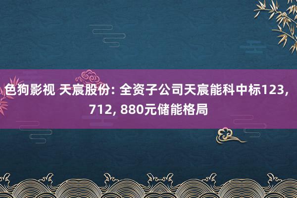   色狗影视 天宸股份: 全资子公司天宸能科中标123, 712, 880元储能格局