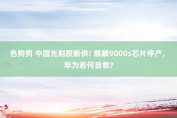   色狗狗 中国光刻胶断供! 麒麟9000s芯片停产, 华为若何自救?