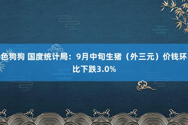   色狗狗 国度统计局：9月中旬生猪（外三元）价钱环比下跌3.0%