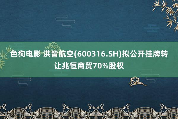   色狗电影 洪皆航空(600316.SH)拟公开挂牌转让兆恒商贸70%股权