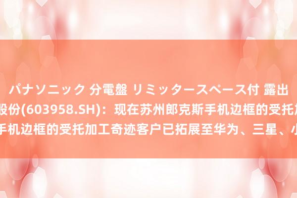   パナソニック 分電盤 リミッタースペース付 露出・半埋込両用形 哈森股份(603958.SH)：现在苏州郎克斯手机边框的受托加工奇迹客户已拓展至华为、三星、小米手机关系厂商