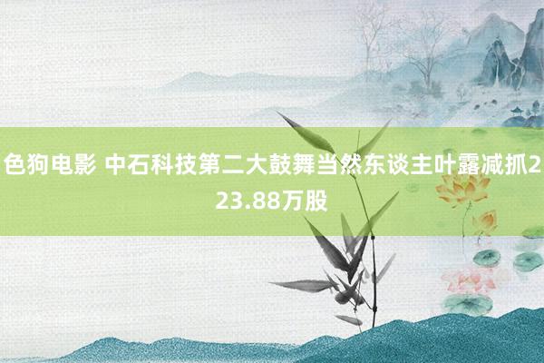   色狗电影 中石科技第二大鼓舞当然东谈主叶露减抓223.88万股