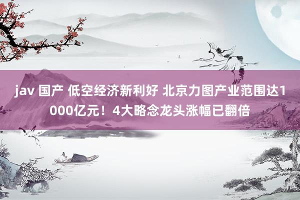   jav 国产 低空经济新利好 北京力图产业范围达1000亿元！4大略念龙头涨幅已翻倍