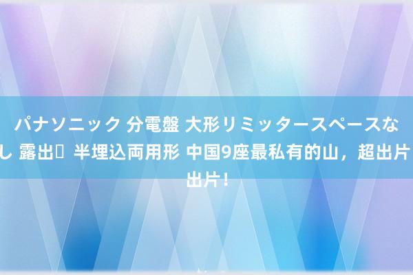   パナソニック 分電盤 大形リミッタースペースなし 露出・半埋込両用形 中国9座最私有的山，超出片！