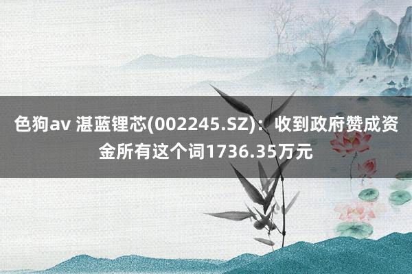   色狗av 湛蓝锂芯(002245.SZ)：收到政府赞成资金所有这个词1736.35万元