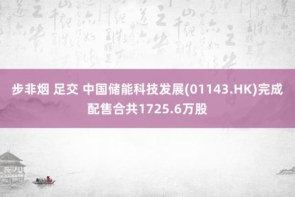   步非烟 足交 中国储能科技发展(01143.HK)完成配售合共1725.6万股