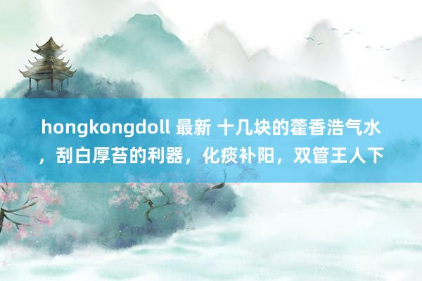   hongkongdoll 最新 十几块的藿香浩气水，刮白厚苔的利器，化痰补阳，双管王人下