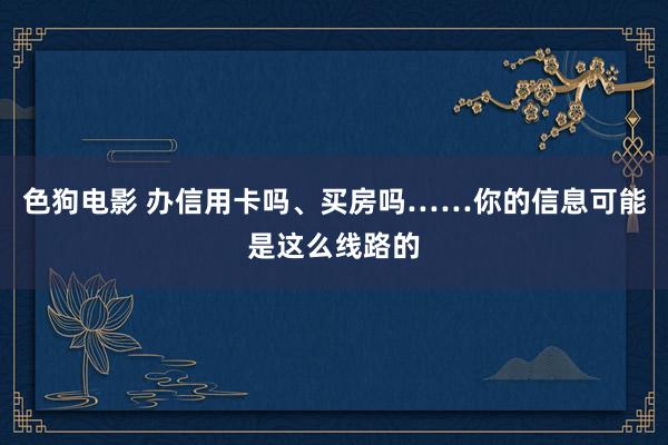   色狗电影 办信用卡吗、买房吗……你的信息可能是这么线路的