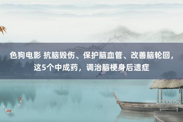   色狗电影 抗脑毁伤、保护脑血管、改善脑轮回，这5个中成药，调治脑梗身后遗症