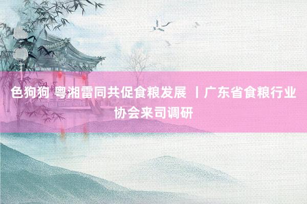   色狗狗 粤湘雷同共促食粮发展 丨广东省食粮行业协会来司调研