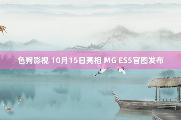 色狗影视 10月15日亮相 MG ES5官图发布