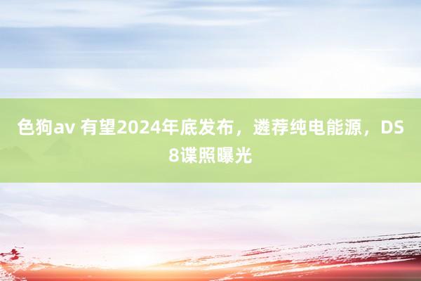   色狗av 有望2024年底发布，遴荐纯电能源，DS8谍照曝光