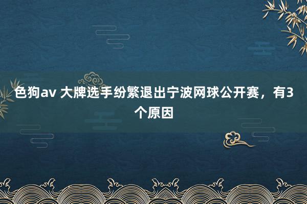   色狗av 大牌选手纷繁退出宁波网球公开赛，有3个原因