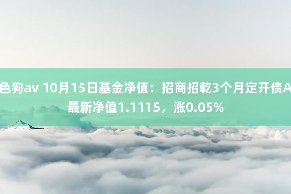   色狗av 10月15日基金净值：招商招乾3个月定开债A最新净值1.1115，涨0.05%