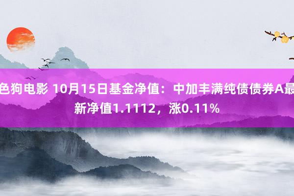   色狗电影 10月15日基金净值：中加丰满纯债债券A最新净值1.1112，涨0.11%