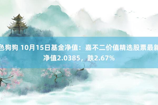   色狗狗 10月15日基金净值：嘉不二价值精选股票最新净值2.0385，跌2.67%