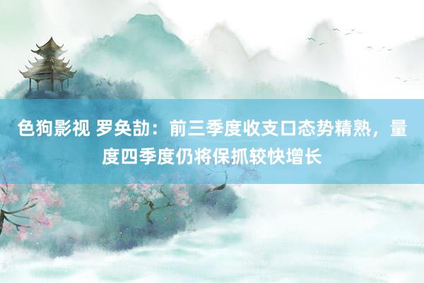 色狗影视 罗奂劼：前三季度收支口态势精熟，量度四季度仍将保抓较快增长