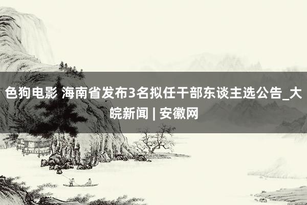   色狗电影 海南省发布3名拟任干部东谈主选公告_大皖新闻 | 安徽网