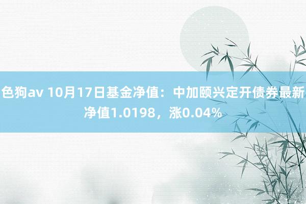 色狗av 10月17日基金净值：中加颐兴定开债券最新净值1.0198，涨0.04%