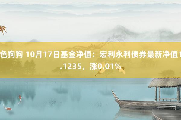 色狗狗 10月17日基金净值：宏利永利债券最新净值1.1235，涨0.01%