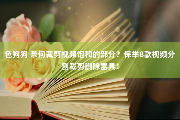   色狗狗 奈何裁剪视频饱和的部分？保举8款视频分割裁剪删除器具！